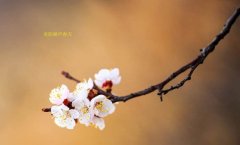 在這春暖花開的季節(jié)，歡迎你們加入知道網(wǎng)絡