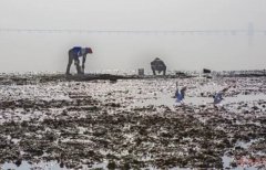 厲害了wuli青島！厲害了wuli紅島??！