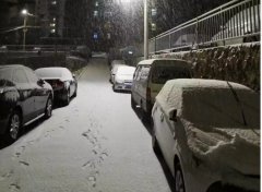青島！大雪！大愛(ài)！