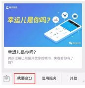 騰訊信用分全國(guó)公測(cè)，查了一下之后懵逼了。。