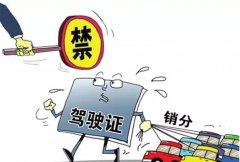 青島的朋友們注意啦，9月起禁止使用他人駕照銷