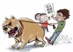 青島10月份一大波勁爆消息，你知道嗎？