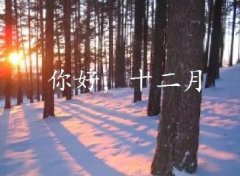 抓住2016年的尾巴給自己充充電！12月，加油！