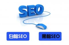 網(wǎng)站百度排名優(yōu)化,白帽seo優(yōu)化,客戶(hù)最關(guān)心問(wèn)題解